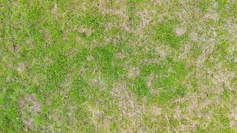 Aerial grass patch texture background for natural surface concept with green Stock Footage 333498777
