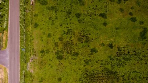 Aerial Grass Texture Foto stock