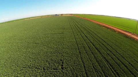 Aerial of Green crops Stock-Footage 41361684