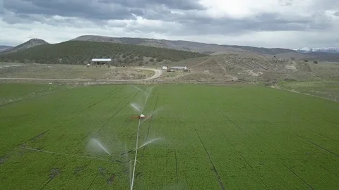 Aerial green farm field irrigation rural hills 4K 931 Stock Footage