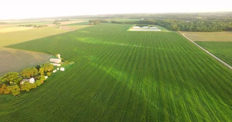 Aerial of green field in Kansas City Stock Footage
