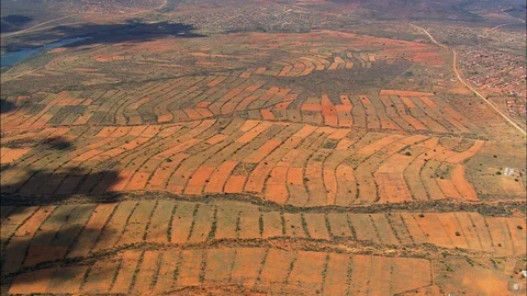 Aerial of green field pattern, Ga-Mogano and field patterns Vidéo 109443386
