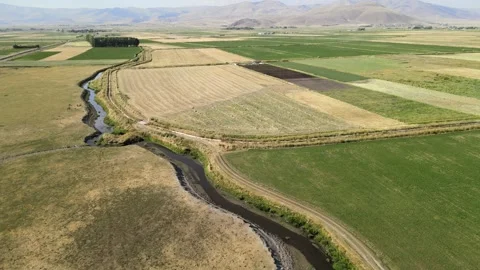 Aerial green fields and river Stock Footage 240752211