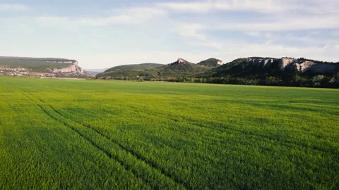 Aerial green fields during summer with mountains on background. Stock footage. Stock Footage 169214184