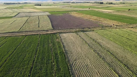 Aerial green fields Stock Footage 240744022