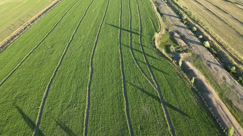 Aerial green fields Stock Footage 240744201