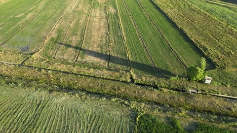 Aerial green fields Stock Footage 240744285