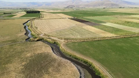 Aerial green fields Stock Footage 240752186