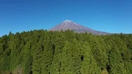 Aerial Of Green Forest And Fuji Mountain With Clear Sky In Background, Japan Stock Footage