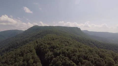 Aerial green forest Stock Footage 196473497