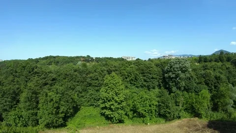 Aerial green forest Stock Footage 237344638
