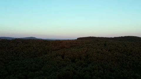 Aerial green forest Stock Footage 238016071