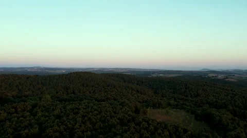 Aerial green forest Stock-Footage 239617633