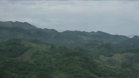Aerial of green forest on mountain Stock Footage 63057571