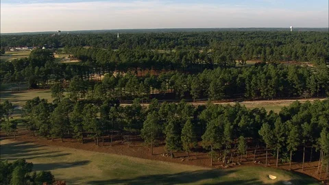 Aerial of green grass fields surrounded with trees, Verdant green trees Stock Footage 109140871