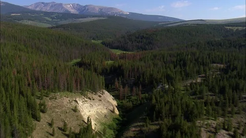 Aerial of green path through forest trees, Tree-covered mountains, Montana Stock Footage 109468258