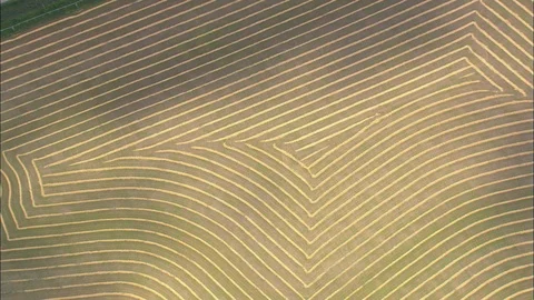 Aerial of green patterned landscape, Interesting patterns in the land Stock Footage 109452016