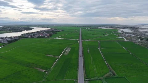 Aerial of green rice fields and road near Hue 4K Stock Footage 339864633