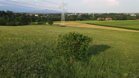Aerial Green Tree at Field Stock Footage 134892510