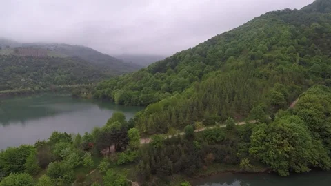 Aerial green trees Stock Footage 196066435
