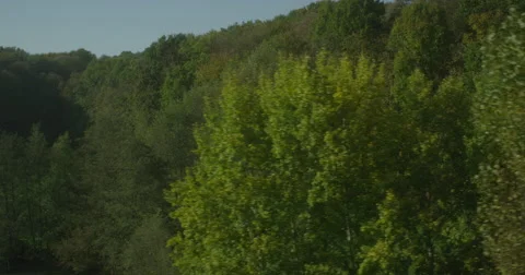 Aerial of green trees in forest Stock Footage 61547752