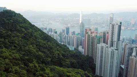 Aerial of Green Trees Sloping Down to Hong Kong City Skyscrapers and Victoria Stock Footage 111976576