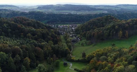 Aerial green view of forest with fall colors, farm land cattle and town. Zurich Stock Footage 80876478