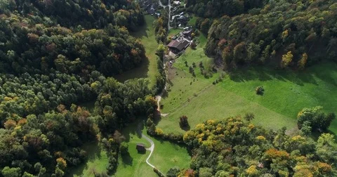 Aerial green view of forest with fall colors, farm land cattle and town. Zurich Stock Footage 80876768