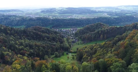 Aerial green view of forest with fall colors, farm land cattle and town. Zurich Stock Footage 80878581