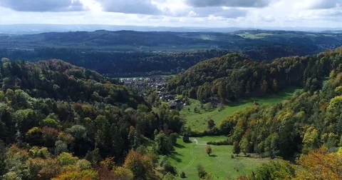Aerial green view of forest with fall colors, farm land cattle and town. Zurich Video stock 80878733