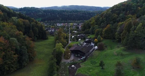 Aerial green view of forest with fall colors, farm land cattle and town. Zurich Stock Footage 80878821