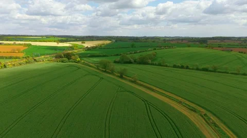 Aerial green wheat fields across productive rural farmland. Commercial crop 動画素材 336717818