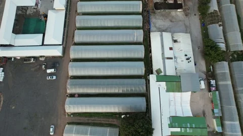 Aerial greenhauses fields Stock Footage 201700652