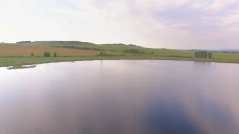 AERIAL: Gulls fly over a large mirror lake. A peaceful summer natural landscape Stock Footage 87529586