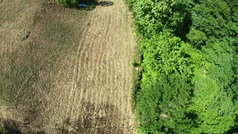 Aerial harvested fields Stock Footage 230480286