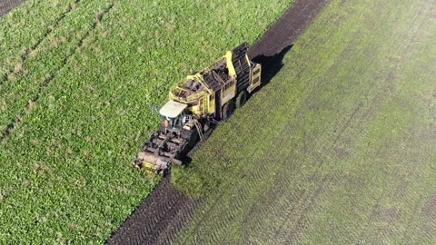 Aerial Harvesting in Field Stock Footage 341266176