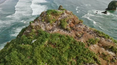 Aerial Of Haystack Rock At Cannon Beach At The Oregon Coast Stock-Footage 155775808