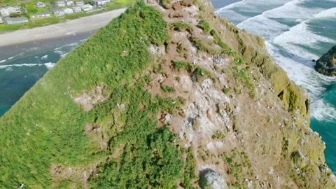 Aerial Of Haystack Rock At Cannon Beach  &amp; flock razorbill birds Vídeos de archivo 155775819
