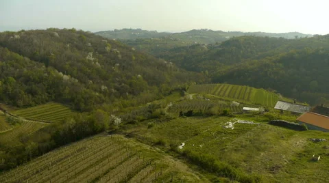 Aerial HD: Mid Air view over vineyard Vidéo 44984896