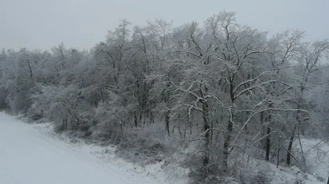 Aerial HD: Side view over snowy landscape Stock-Footage 44981914