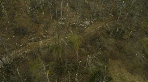 Aerial HD: Top View Over Demolished Branches 動画素材 44982784