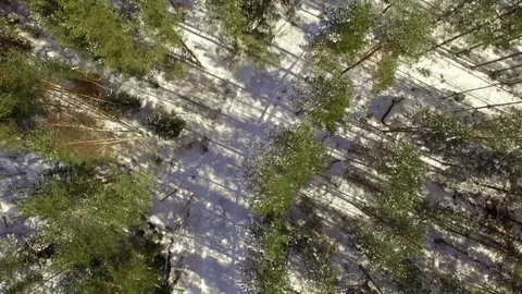 Aerial head over shot of small snowy roads in a Nordic forest Stock Footage 75650043