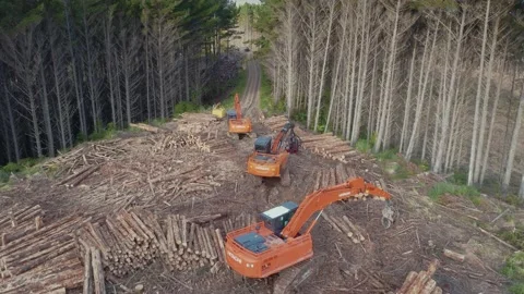 Aerial: heavy logging machinery in the forest Vídeos de archivo 230726967