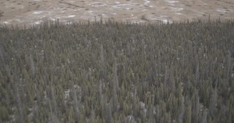 Aerial helicopter overhead shot pulling back over foggy cold Alaskan forest, Stock-Footage 108518536