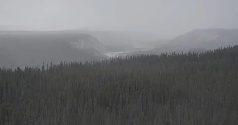 Aerial helicopter shot pulling out over foggy cold Alaskan forest, drone footage Stock Footage 108517156