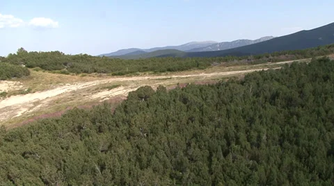 Aerial helicopter view over a forest Vídeos de archivo 31454774