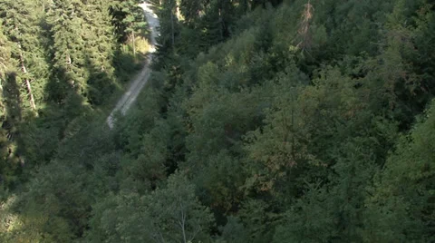 Aerial helicopter view over a forest Stock-Footage 31457586