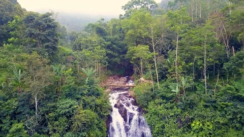 Aerial up high and tilt down on Bali waterfall Stock Footage 88217348