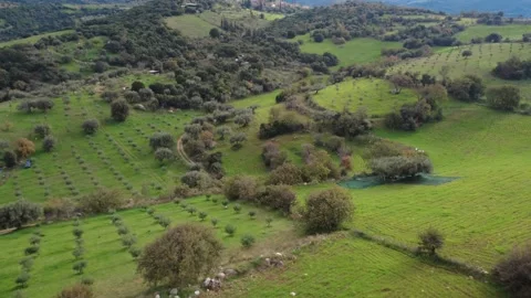 Aerial high angle panorama of mountain foothills with farms and trails Stock Footage 337459418