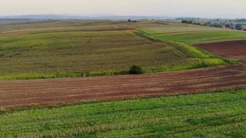 Aerial High Angle of Patchwork Farmland and Agricultural Green Fields in 動画素材 337724905